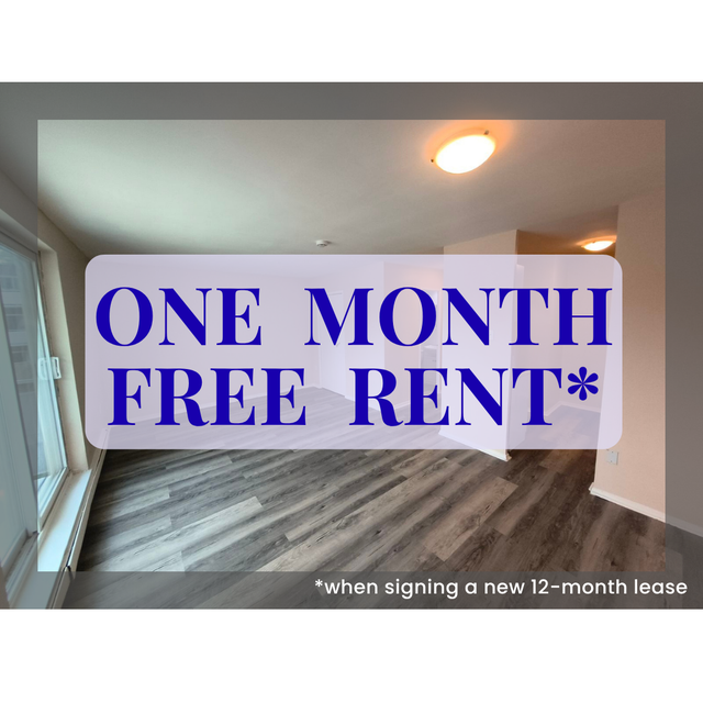 Renovated Studio+1 bedroom units starting at $1295 all-inclusive