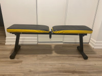 Workout Bench