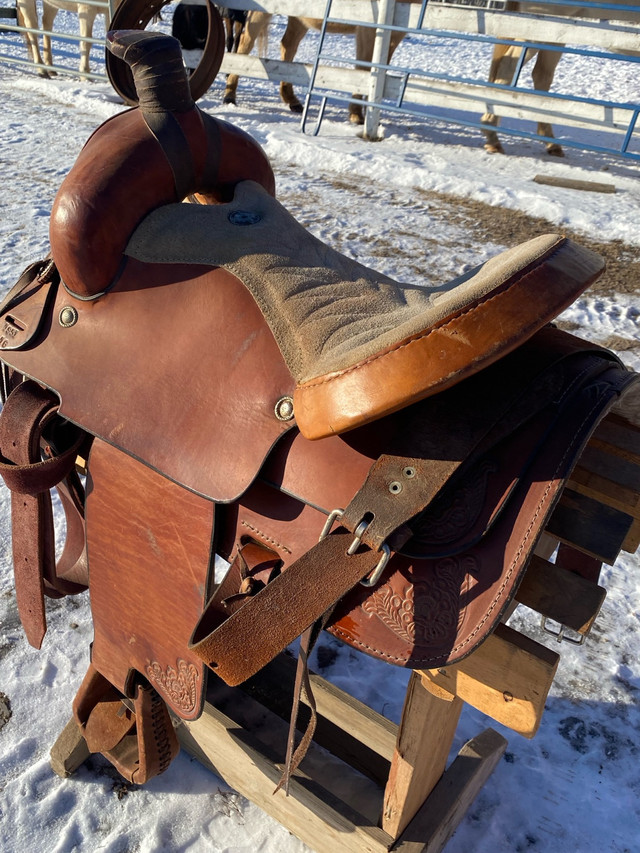 Roper Saddle in Equestrian & Livestock Accessories in Prince Albert