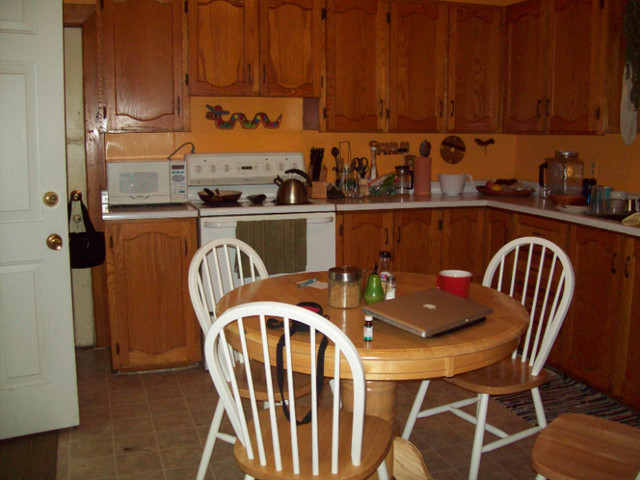 Room for rent May 1 in Room Rentals & Roommates in Peterborough - Image 3