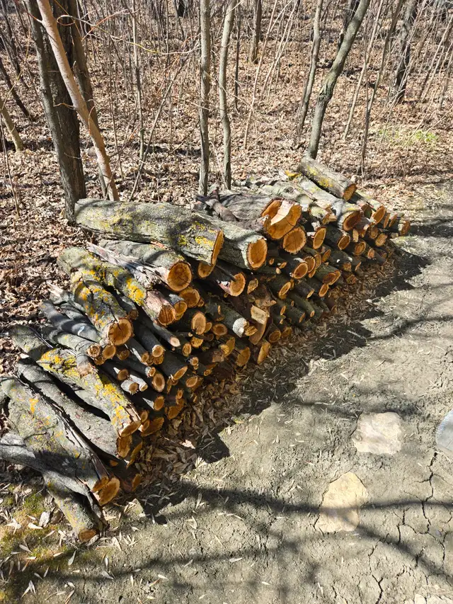 Firewood465057627893278720