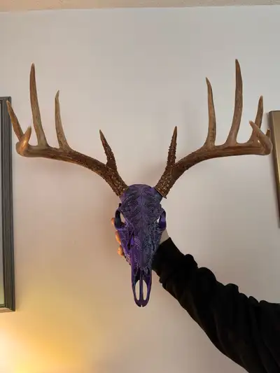 Deer Antler Mount (Customizable), View more