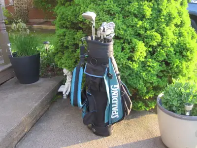Men's Left Hand 11-pc Golf Clubs Set (Tommy Armour Silverback), View more