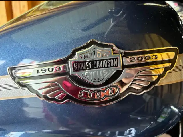 2003 Harley Davidson in Other in City of Montréal - Image 3