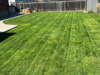 Affordable, High Quality Grass Cutting & More