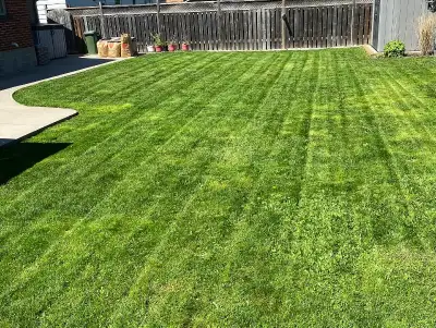 Call or text for a free quote 2892539727 My name is Christian and I provide excellent quality lawn c...