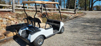 48 Volt Club Car Golf Cart 