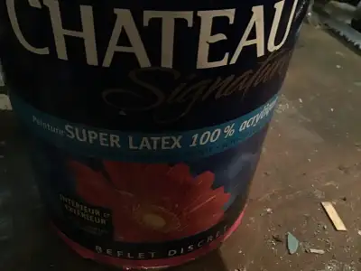 gallon de peinture couleur, View more