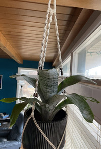 Handmade macrame plant pot hanger