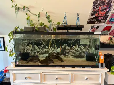 Full set up plus extras