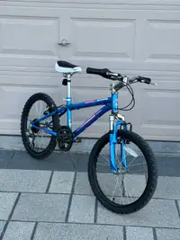 Nakamura Bike