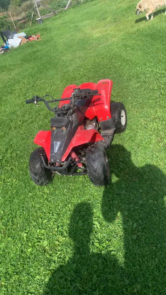 kids quad 