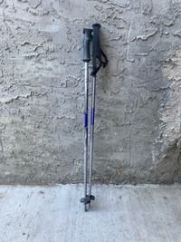 Ski poles youth 80cm