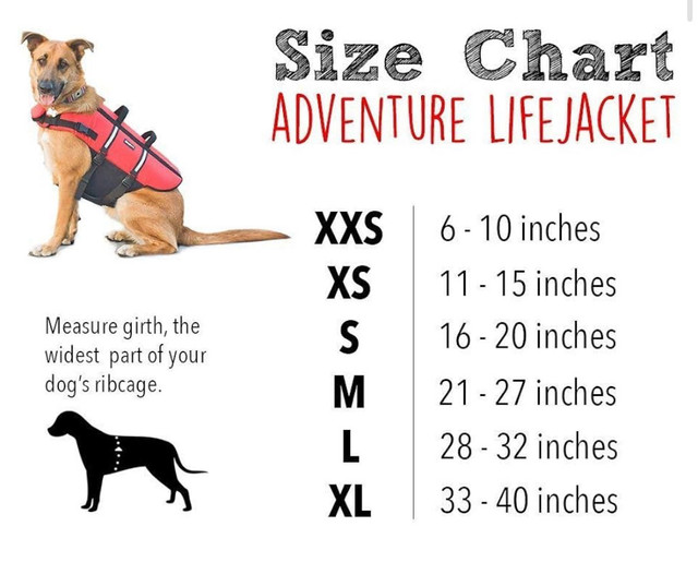 XL dog life vest in Accessories in Kelowna - Image 4