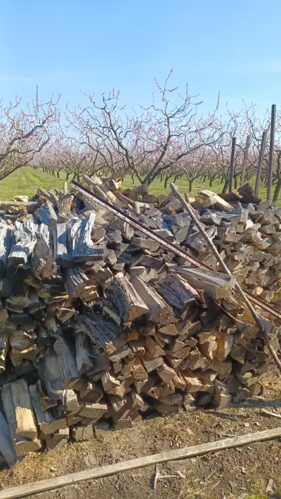 Fire wood, View more