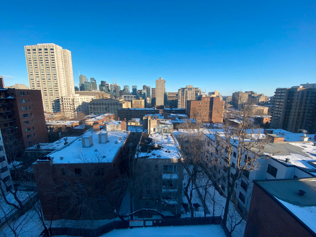 Large 2-Bedroom, Stunning View- Grand 2-Chambres, Vue Magnifique dans Locations temporaires  à Ville de Montréal - Image 2