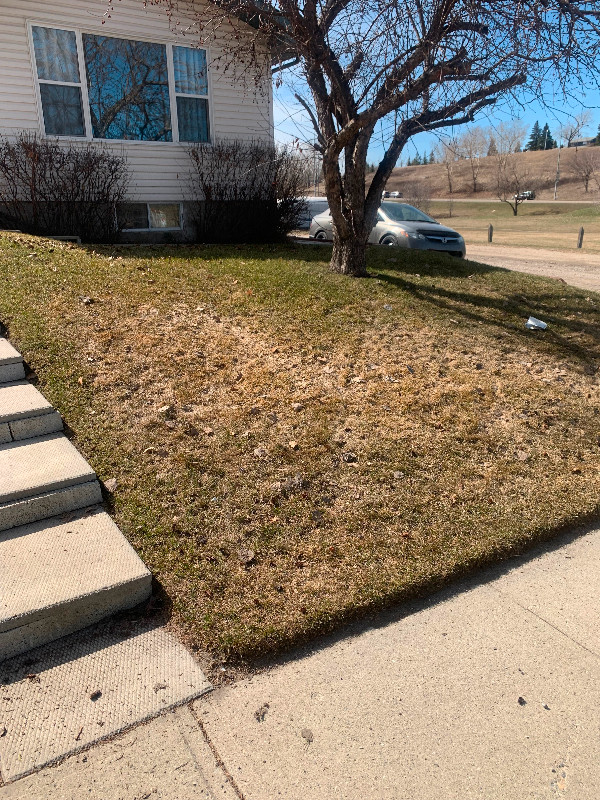 Professional Spring Cleanups starting at $130! in Lawn, Tree Maintenance & Eavestrough in Calgary - Image 3