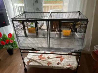 Cage oiseaux, View more