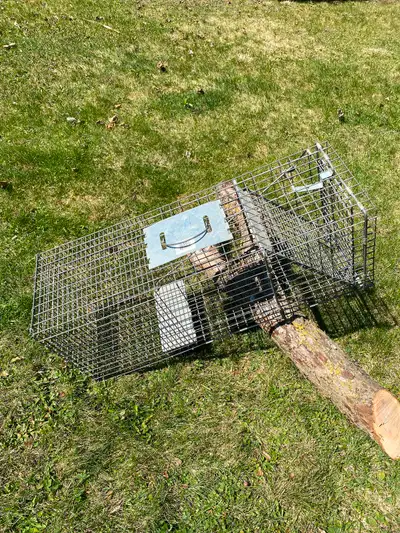 Cage type live trap for sale 12”HX11”WX32”L. excellent condition and Havahart brand. $75