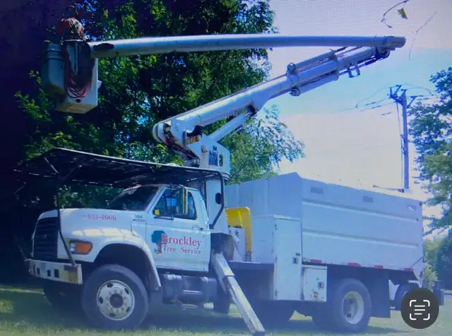 Tree service523494017593528324