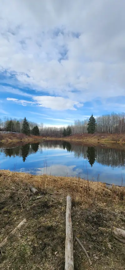 RV Pad w/ Full Hookups Near Wabamun, Stony Plain & Plants Private RV pad with full hookups available...