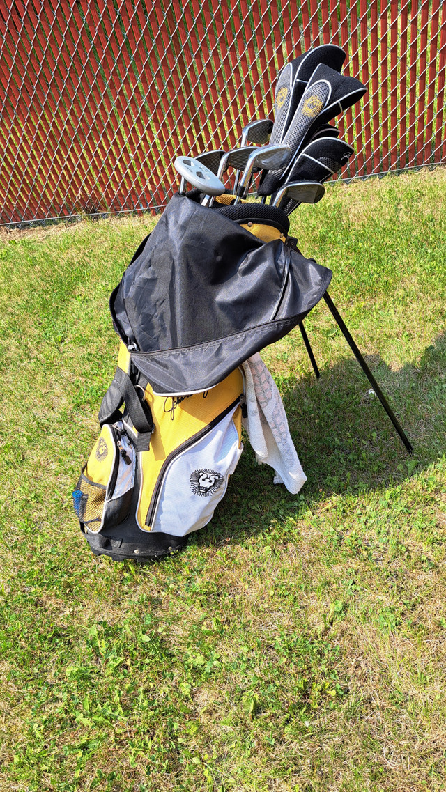 Good quality 11 Club golf set with bag.  Almost new. in Golf in Edmonton