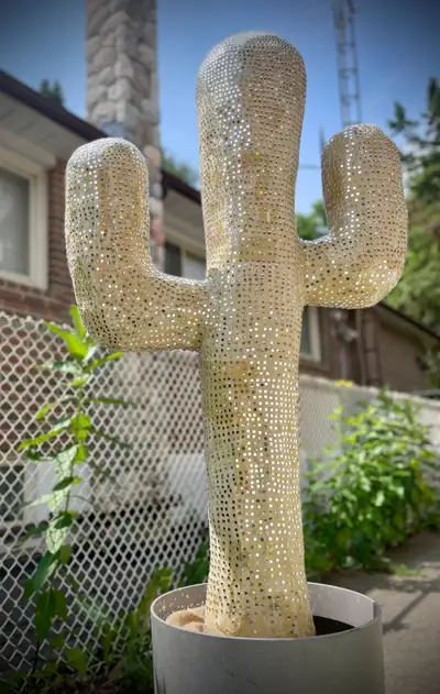 Disco Cacti / Disco Cactus, View more