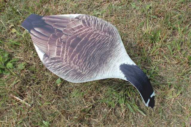 Top Down goose Decoys *SALE* in Fishing, Camping & Outdoors in City of Toronto - Image 4
