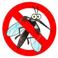 For Rent we have Mosquito & fly catchers, zappers / foggers