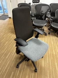 Haworth Fern ergonomic office task chair