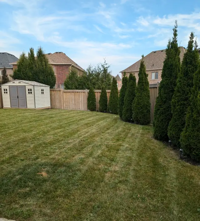 LAWN CARE SERVICES STARTING AT $3562863713700354121