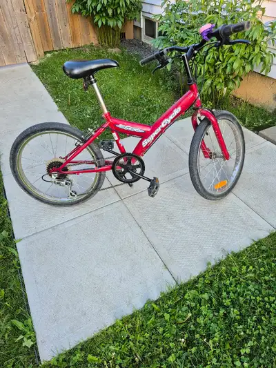 kids girl bike 20 inch, View more