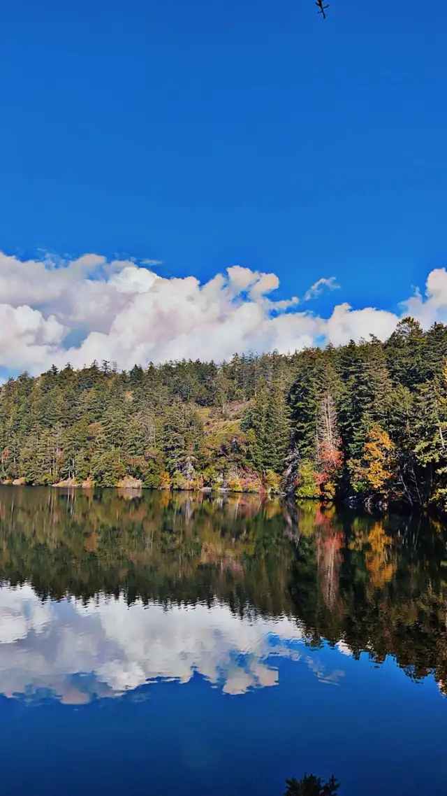 Tranquilty Spa64959952924033123