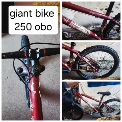 Giant stp, View more