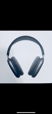Apple Air Max Headphones ( SPACE GREY)