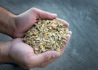 Chicken Feed: Layer Ration, Chick Starter, Grower