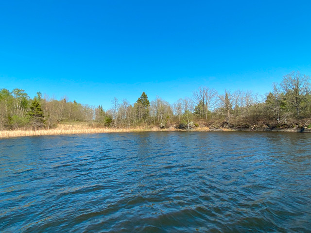 Lot 13 Big Narrows - 2.47 Acres, 459 feet of Frontage! in Land for Sale in Kenora - Image 3