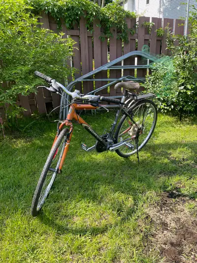 Vélo Norco 17", View more