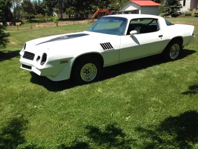 Very clean and maintained 1979 camaro z28, always kept in heated garage never seen rain only comes o...