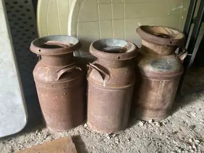 Old milk canisters, or milk churns, are traditional heavy-metal dairy containers used to store and t...