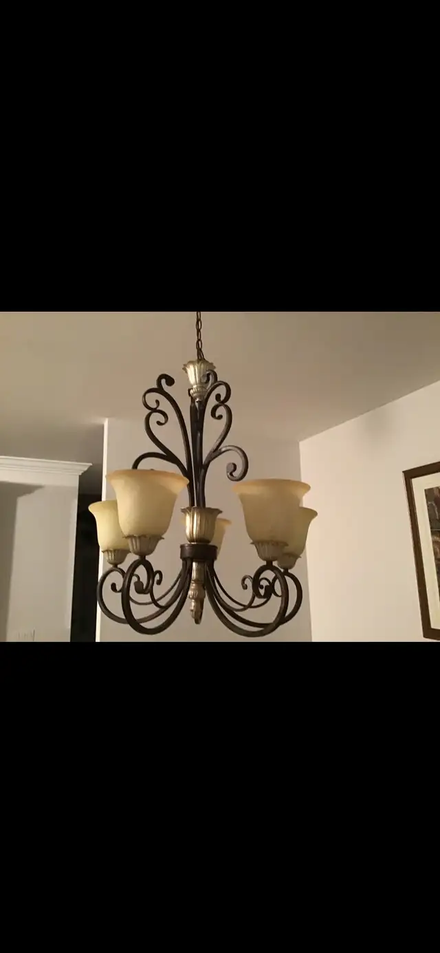 Chandelier in Indoor Lighting & Fans in Hamilton - Image 4