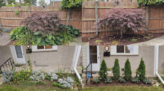 Fall Cleanup - Landscaping - Gardening in Haldimand & Niagara in Lawn, Tree Maintenance & Eavestrough in Hamilton - Image 2