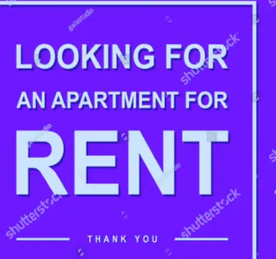 looking to rent 1 bed apartment or private room in St.John’s NL