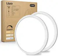 Libtit 2PACK LED Flush Mount Ceiling Light Fixture, 3200LM 12 In