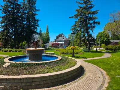 Room for rent in East Hill close to Parks, Restaurants & Transit