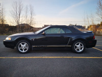 Ford Mustang convertible