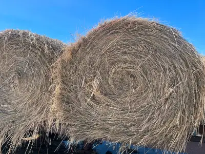 Hay for sale, View more