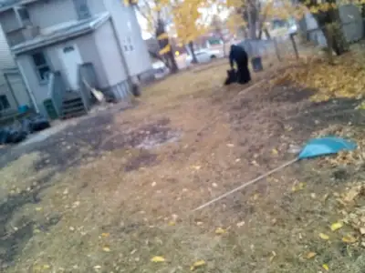 looking for somebody to take over my contract lawn Care work, View more