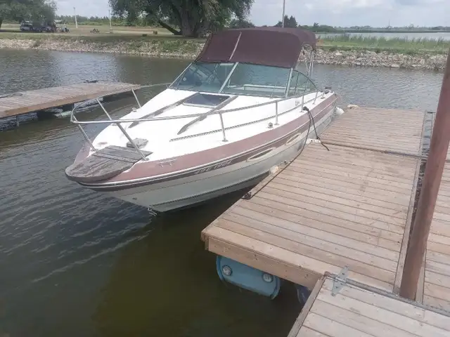boat  searay in Powerboats & Motorboats in St. Catharines - Image 10