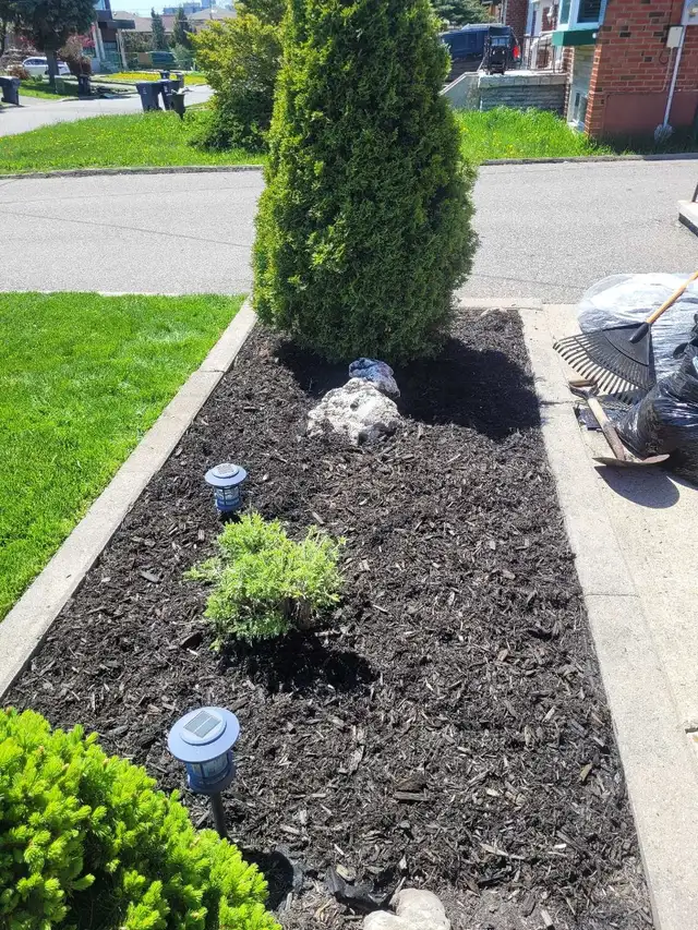 landscaping & lawn maintenance  in Lawn, Tree Maintenance & Eavestrough in City of Toronto - Image 9